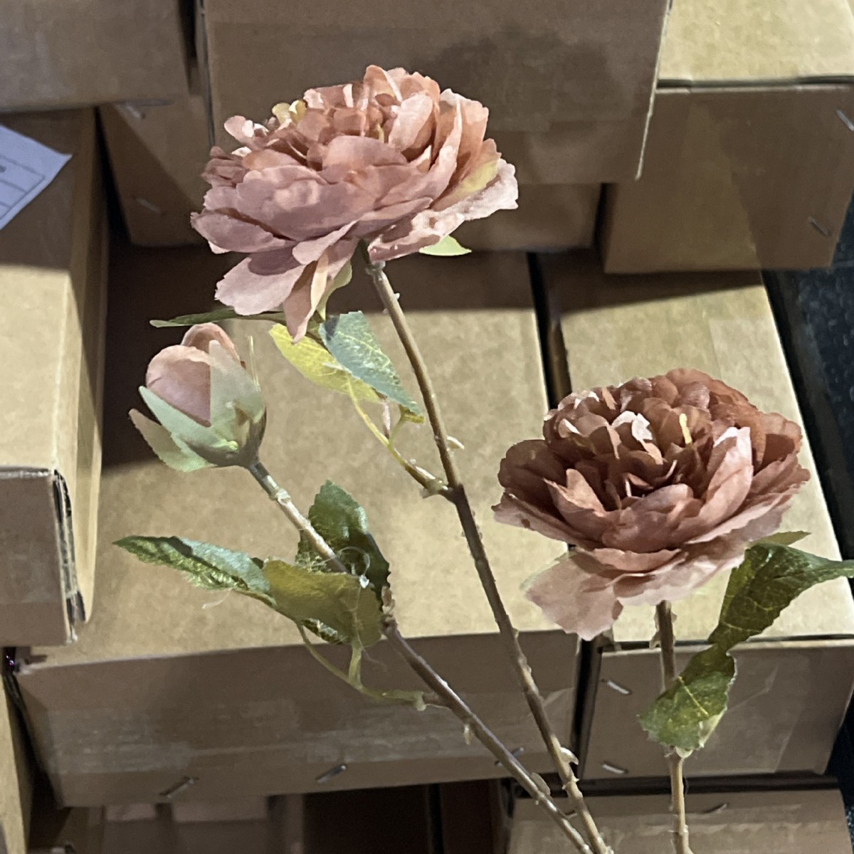 Peony light caramel color