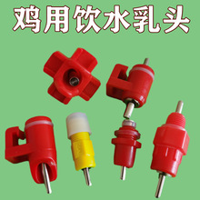 厂家批发新型鸡用自动饮水器饮水嘴养鸡钢球乳头饮水器出口品质
