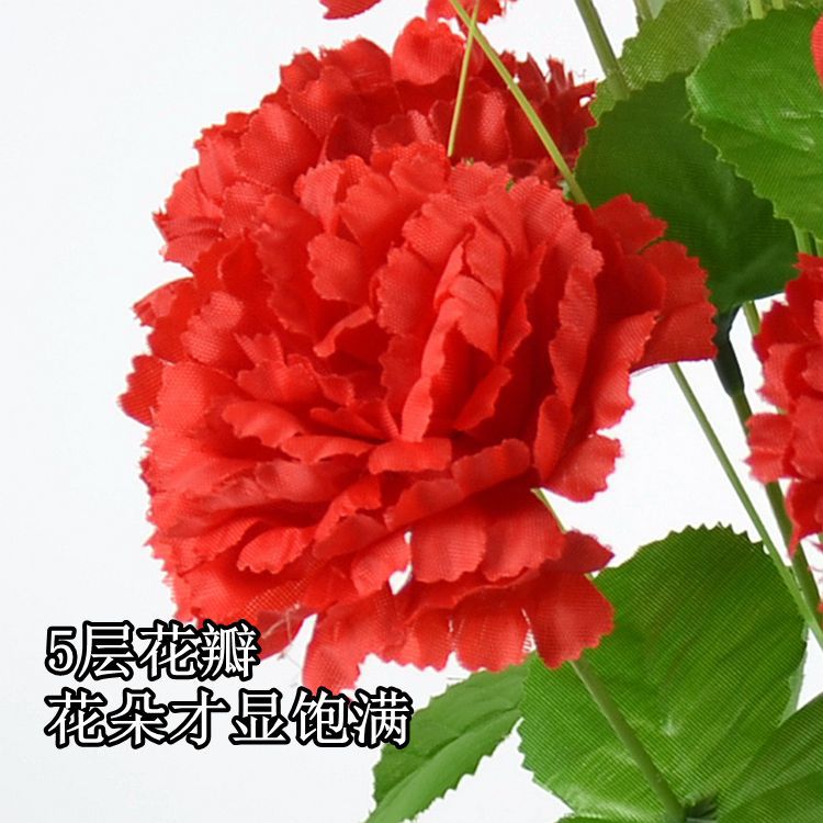 玫瑰花