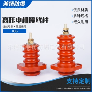 防爆高压电机接线柱 引线型号JGG镀银铜芯（6KV-10KV）铜螺杆M12