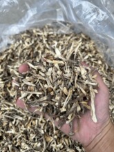 ��С�l¹�׹����؛500g �����W�ϸ�偰�����㹽¹�׾��ʳ��