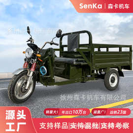 厂供出口电动三轮车家用货运载重农用农场运输载货三蹦子欧洲EEC