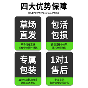 ��Ƽˮֲ���~��ˮ��һ�~ɏˮ���Jˮܽ�عŷ��B�~�쾰������ˮ