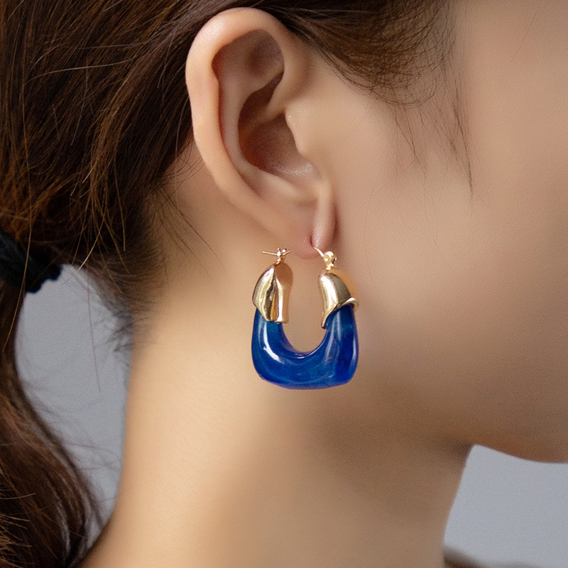 Retro Fashion Geometric Earrings Female Simple Design U-shape Earrings display picture 11