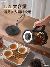 全自动煮茶器喷淋式电热煮茶壶蒸汽家用泡茶黑茶白茶专用养生神器