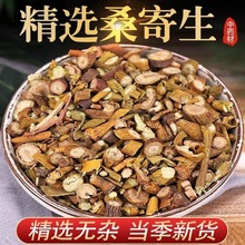正宗桑寄生中药材批发 桑寄生茶 广西桑寄生特级野生寄生桑上寄生