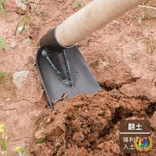 ��С���z�^�ڵؼ��Ñ����r���r�߸���呴���ݷN�˷N��