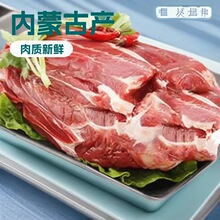 内蒙古牛肉腱子肉 黄牛肉新鲜牛腱子 肉质鲜牛肉