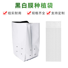 ���lpe�Nֲ���ڰ�Ĥ��̿����ֲ������Nֲ�l�߲����L��PE�ڰ�Ĥ