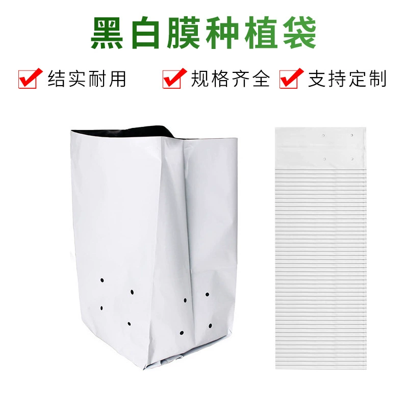Оптовая продажа pe мешок для посадки черно-белая пленка мешок для посадки торфяной почвы красивый мешок для выращивания рассады мешок для выращивания овощей