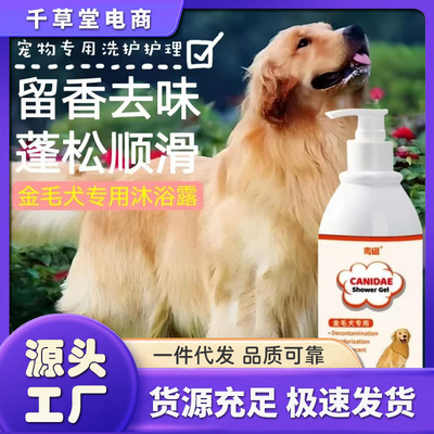 [Cross border]Golden Retriever Shower Gel Hair care Dogs Fragrance Shower Gel relieve itching sterilization Deodorization Demodex