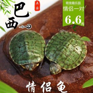 �������������С�������w�^�p�����������ˮ���t����������H��