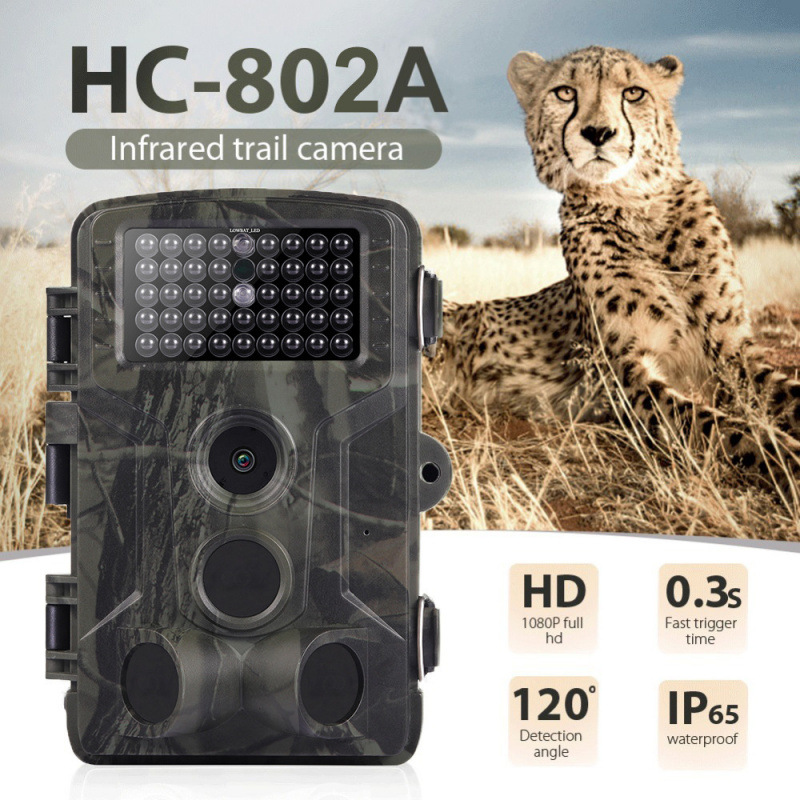 Outdoor High-Definition Infrared 24Mp Hunting Camera 2.7K Infrared Rain-Proof and Fog-Proof Hc802A Multi-Language