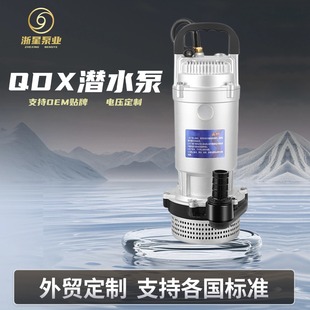 ���Q220v110v���P䓼��Ý�ˮ��QDX��ˮ��С�͸ߓP�̳�ˮ�r�ù��