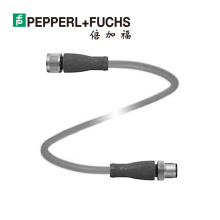 V1-G-5M-PUR-ABG-V1-G���Ӹ�5�׎�����PUR�B����|/�|��(203934)