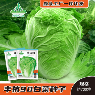 �S�����l�S��90��ײ˷N�Ӱ����＾�ײ˷N��ɽ�|���^�N�ݲ˷N����