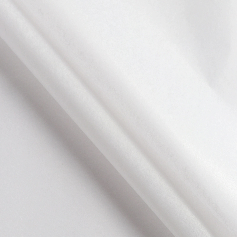 한국의 새로운 시드니 종이-흰색