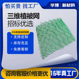 边坡防护网护坡植草抗拉伸三维植被网EM3聚乙烯三维网pp生态护坡
