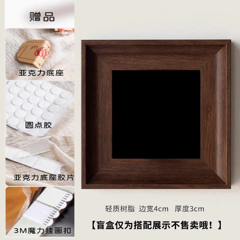 空气凤梨装饰画盲盒展示相框手办收纳客厅墙面装饰办公室植物相框|undefined