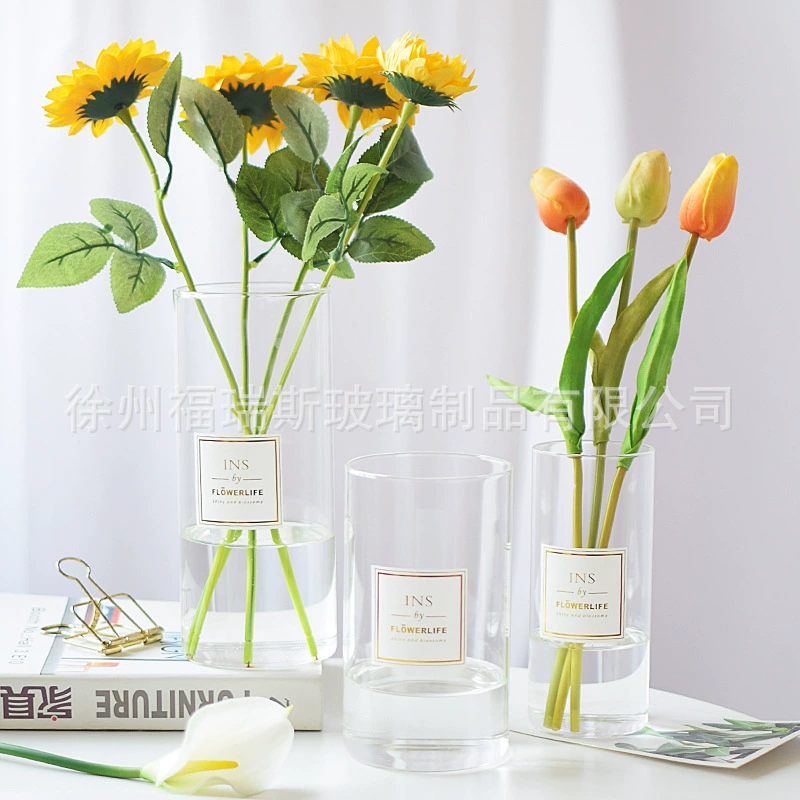Прямая стеклянная ваза прозрачная современная минималистская гидропонная композиция INS