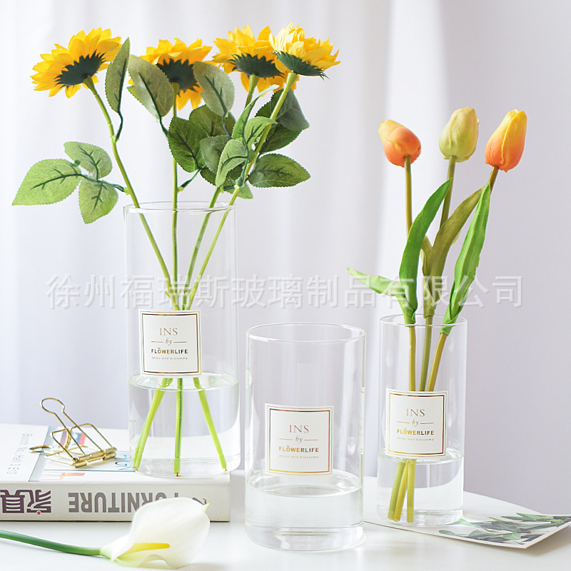 Straight Glass Vase Transparent Modern Simple INS Hydroponic Flower Arrange Water Raising Flowers Green Plant Home Decoration Ornaments