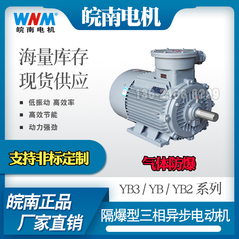 安徽皖南电机YBX3/YBX4/YBX5/YB3/YB2气体防爆三相异步电动机