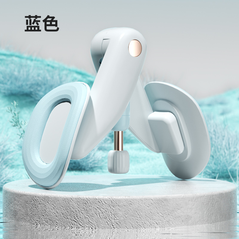 새로운 강화 골반저 근육 하늘색