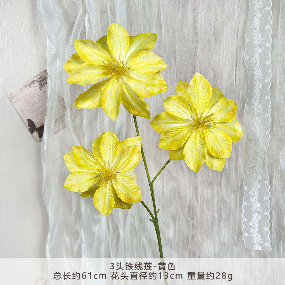 MJ-3头铁线莲-黄色