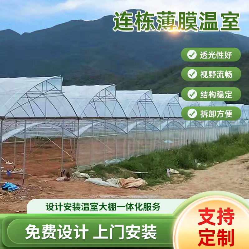 Многосекционная теплица для сельскохозяйственного садоводства, выращивания цветов и фруктов, защиты от солнца и непогоды, интегрированная теплица для фруктов и овощей.