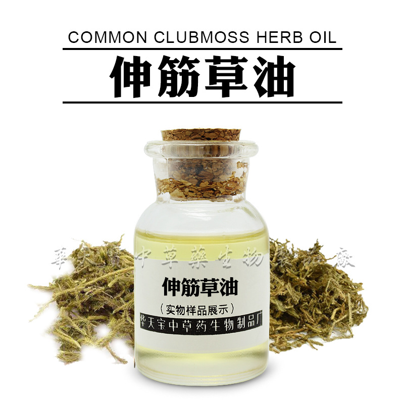伸筋草油1KG 天然提取伸【筋草精油】 草本植物精油厂家直供