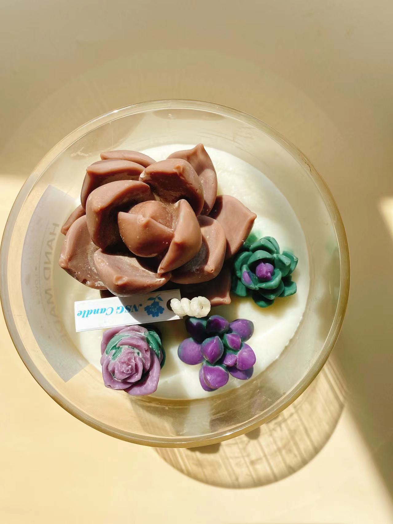 Suculentas cactus colección aromaterapia vela decoración de interior regalo cumpleaños