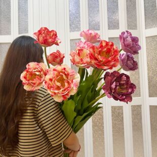 �羳��Ʒ�|����3�~�ذ���������滨�ҾӾƵ��Y�zӰ�bɻ���