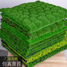 ������̦��Ƥֲ��쾰�b� �������ֲ�qʯ�^΢���^��������̦