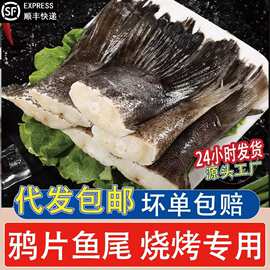 大号鲽鱼尾 冷冻海捕碟鱼尾 烧烤半成品鸦片鱼尾商用海鲜水产批发