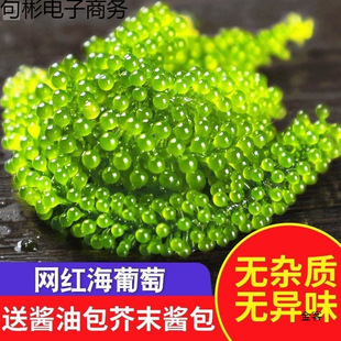 �����Ѽ�ʳ��ͯ�}�n�������r�����ˮ���Ѻ����߲˾Gɫ�~���u����