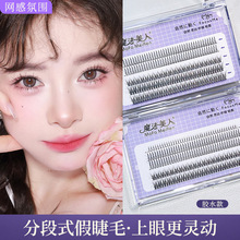 簇状假睫毛新手自然狐系分段式假睫毛浓密大容量太阳花假睫毛批发