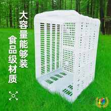 白色菜篮子框子塑料筐长方形加厚大号镂空周转筐装水果蔬菜筐子