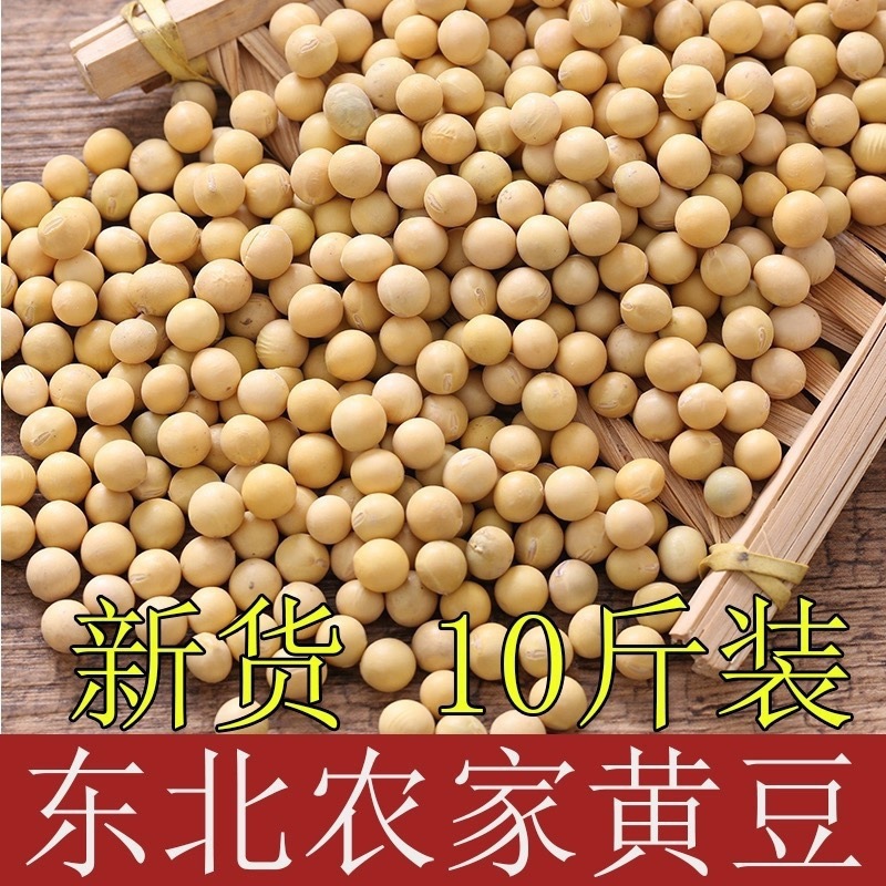 24年新大豆 5kg 5kg 東北大豆 農園産全粒豆乳もやし 非遺伝子組み換え大豆|undefined