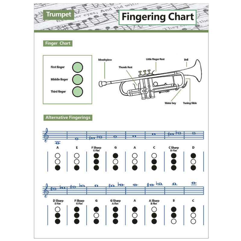 Wholesale Trumpet Chart Chord trumpet ch...