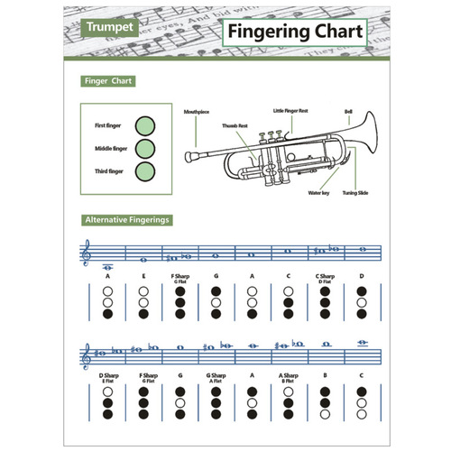 Wholesale Trumpet Chart Chord Trumpet Chord Tab Trumpet Chord Fingering Chart Fingering Practice Chart