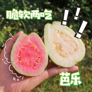 ���������ͰŘ�+�t�İŘ��M�ϡ���ʯ��Fժ�F�l5�����rˮ�����l