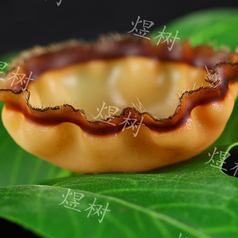 长白山正品鹿茸片干片全蜡片半蜡片红粉片骨片新鲜泡酒煲汤|undefined