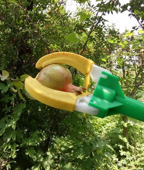 TB2bHBzXjnyQeBjy1zcXXXKyXXa_!!