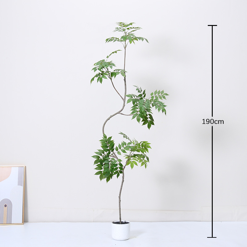 Madera lacada de forma especial-190cm