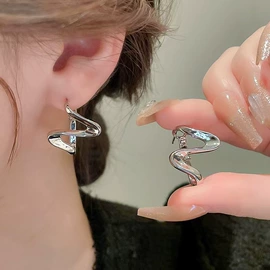 耳环;耳钉;发夹