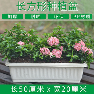 ����ֲ�ﻨ���̖�L�������ϼӺ��֬�̨�N���N�����бP���l