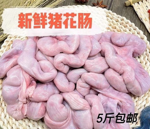 5���i���c�i���c�i���c�i���c�i���c�����c���i�����i�ӌm�i̥�P