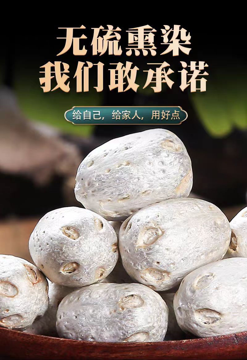 Wu Yan Guo (Choerospondias axillaris) — Wild Dried Five-Eye Fruit for Herbal Wellness Tea quality and texture