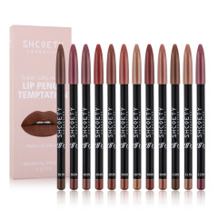 SHCOETY12色マットリップスティック＆リップライナーセット ヌードカラー 色落ちしない 長持ち 欧米風メイク マット質感