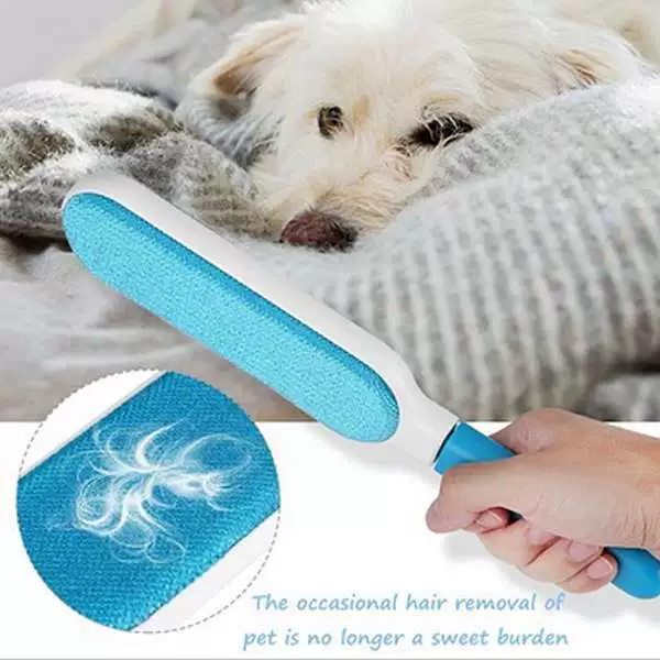 Sofa, carpet, duvet, brush, pet